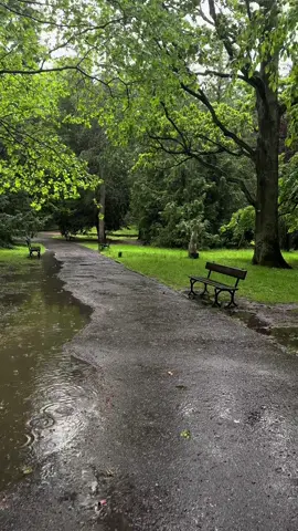 شعور من تمشي تحت المطر عالم ثاني #بولندا #gdansk #poland #مطر #rain #سياحة 