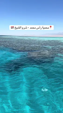 📍 Ras Mohamed Nature Reserve – Sharm El Sheikh 🇪🇬 #tour_with_krash #egypt🇪🇬 