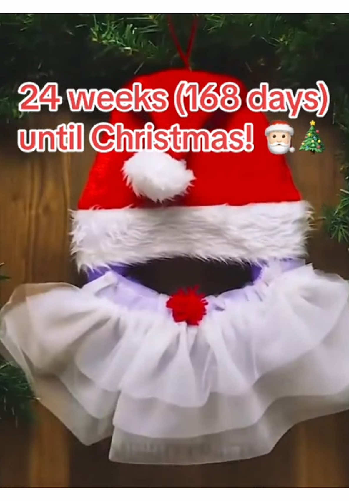 24 weeks until #christmas #festiveszn #festivesseason #winter #december #festive #christmascountdown #wintervibes #xmas #xmasvibes #christmasaesthetic #xmasaesthetic #fyp #christmasbaking #foryou #foryoupage #viral #trending #snow #snowmen #mariahcarey #santa #santaclaus #marshmallow #cosy #christmasparty #ilovechristmas #angels #reindeer #rudolph #gingerbread #gingerbreadmen #gingerbreadhouse #chocolate #hotchocolate #festivities #michaelbublé #snowflake #snowflakes #star #christmasdecorations #xmas2025 #christmas2025 #fyp #foryourpage #viral #onthisday 