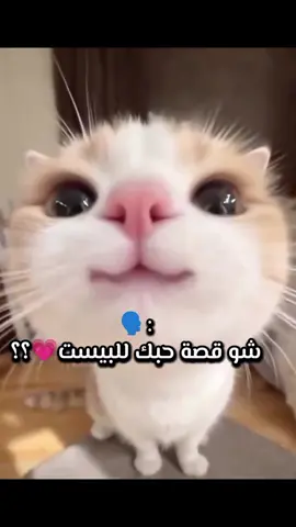 بستي🌺🎀🌺🎀🌺🎀