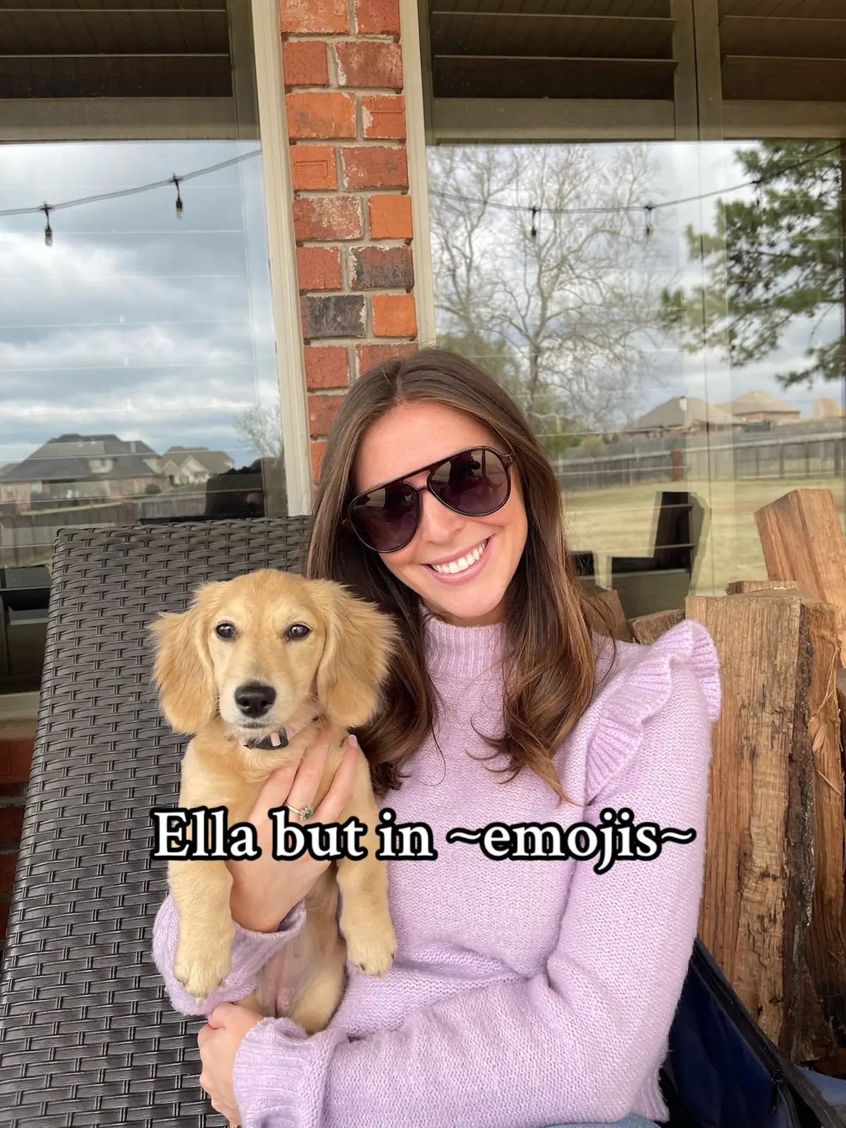 But she’s perfect🥹 #fyp #funnydog #minidachshund #creamdachshundpuppy #dachshund #fyp 