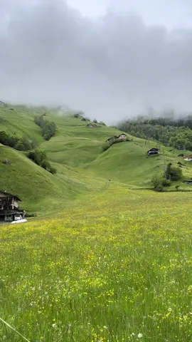 #explore #سويسرا🇨🇭 