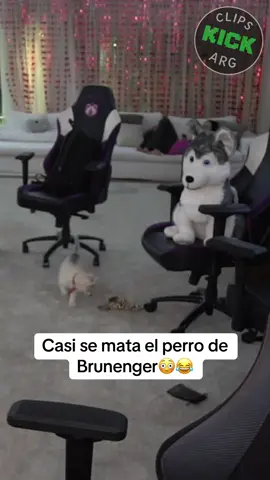 LO MEJOR DE KICK ARGENTINA ACÁ 🇦🇷🔥 #kick #argentina #clips #streamer #tendencia #clipkick #clipviral #stream  #twitch #twitchclip #fyp #moski #mernuel #brunenger #valenramos #bauletti #brg