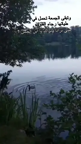 اجعلوا يومكم عامراً بذكر الحجة، صاحب العصر والزمان فالجمعة يومه، ويوم ظهورة الموعود عج🌿#اللهم_عجل_لوليك_الفرج #متى_ترانا_ونراك #دعاء_الندبة #ياصاحب_الزمان_ادركنا 