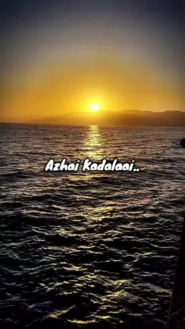 Even scattered drops return to the sea. What’s meant to flow, always finds its way 🦋..  #lyrics #vizhigalinaruginilvaanam🤍✨ #thedalaithedi #sunsets 