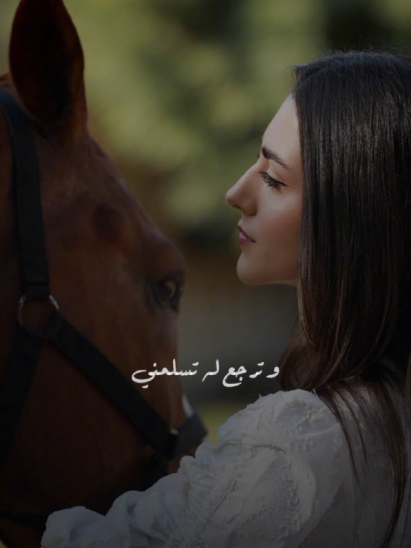 #تصميم_فيديوهات🎶🎤🎬 #خيل_عربي #تصميم #خيل_وخياله🐎 #خيل #فروسية 