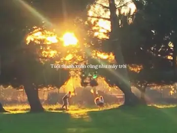 “Tuổi thanh xuân cũng như mây trời…”#toithayhoavangtrencoxanh #xuhuong #hanhsuri 