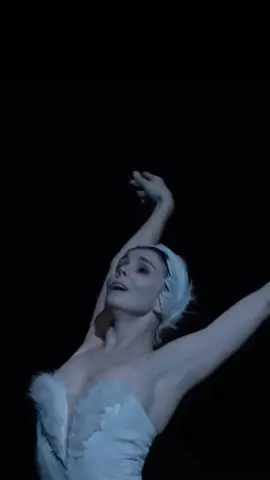 the beauty and darkness of ballet                                                       (i don’t not the own rights to any of these clips!) #CapCut #balletedit #ballet #thedyingswan #ballerinas 