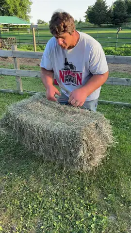 Chores don’t stop in Summer #jeffdabe #minnesota #mini #horse #fyp 