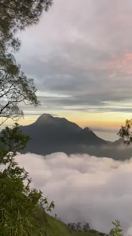 #gunungwilis #jurangsenggani 