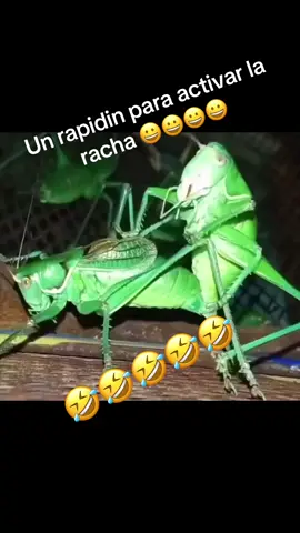 🤣🤣🤣🤣