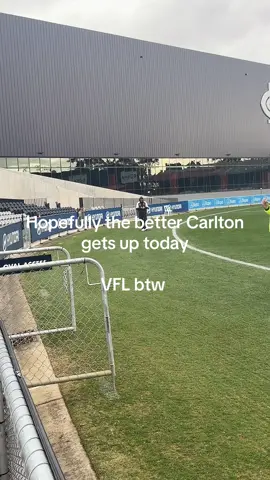 Up the baggers ig🔵 #carltonfc #carlton #carltonblues @dandoesfooty 