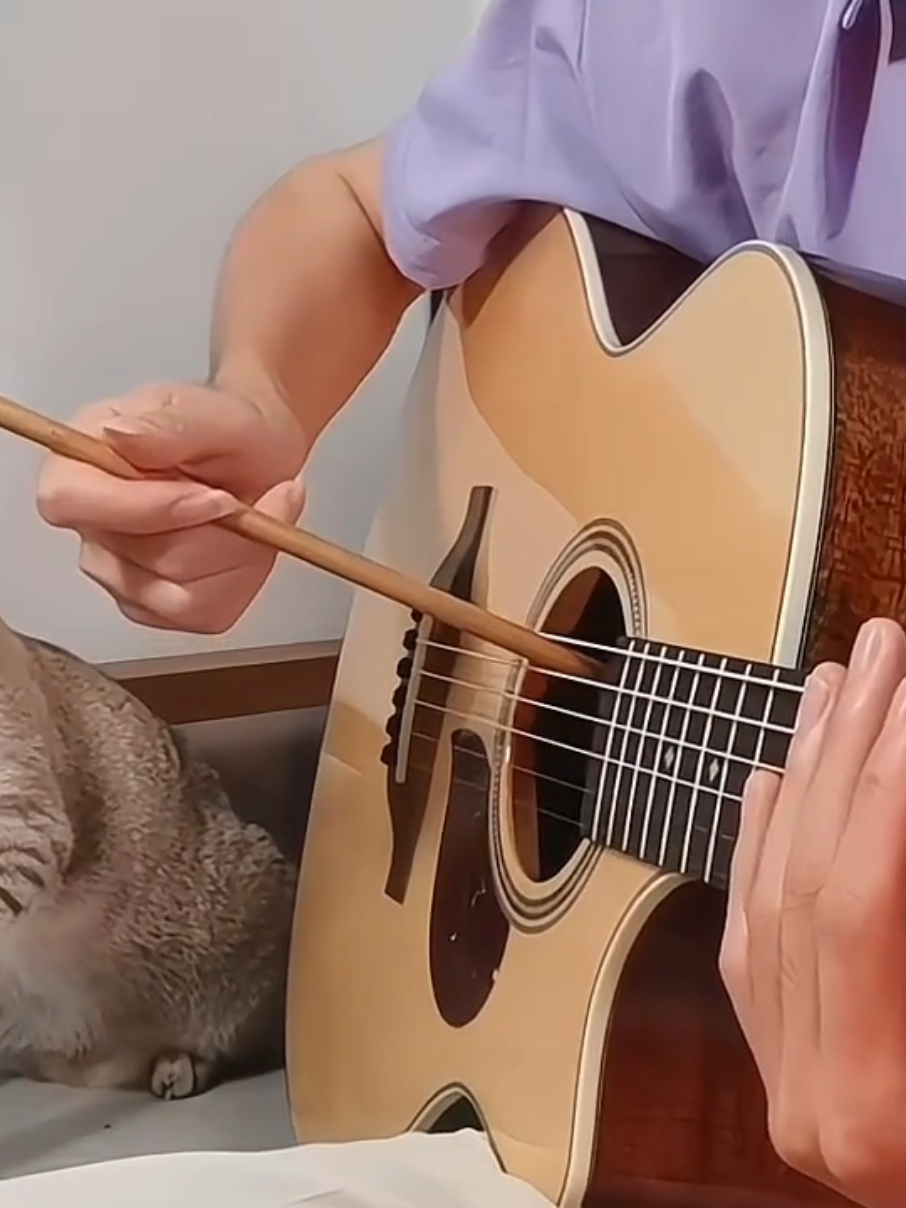 Ngày Mới Nhiều Năng Lượng..#guitar #violin #guiolin #fypp #xhh 