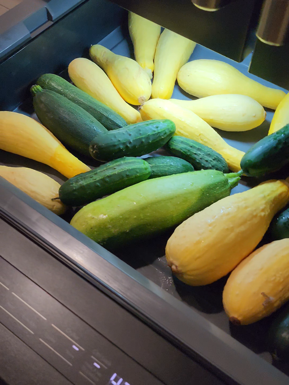 Squash recipes welcome 🫠🫠 . . #vegetablegarden #gardentok #gardening #raisedbedgarden #growingfood #harvest 
