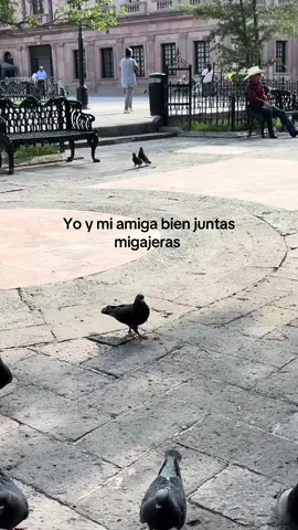 #viral #parati #fyp 