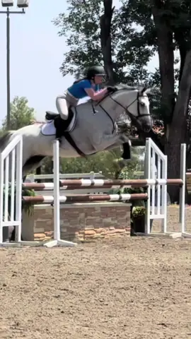 Drafty 🙏 I finally get back to the barn tmrw!! #calabria #horse #equestrian #juniorhunter #fyp #viral #Summer 