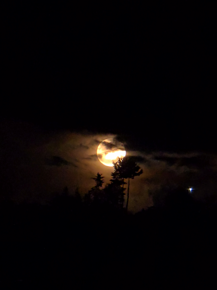 Te dedico la Luna de hoy, esta tan hermosa asi como tú🌕❤️‍🩹 #Luna #Evening #adelsontojilgt 