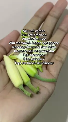 Nek langsung di pateni eman”, gak bakal ngerasake lorone, alon”, ben soyo soro, reti” golek dalan pintas dewe…  #fyp #fypシ #fypシ゚viral #taburtuai #viral #jalurlangit #karma #jowostory #jowopride #jawapride #jawa #tirakat #kejawen #adat #adatjawa #suro #suronan 