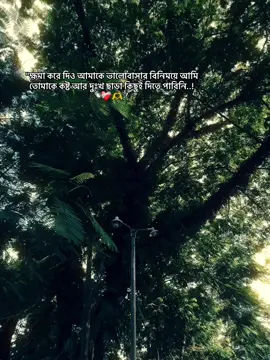 #CapCut  : ক্ষমা করে দিও আমাকে ভালোবাসার বিনিময়ে আমি তোমাকে কষ্ট আর দুঃখ ছাড়া কিছুই দিতে পারিনি..!!💔🥀 #CapCut #foryou #video #video #pppppppppppppppp #😅💔🥀🤞🏻🥀🖤ـہہـ٨ــہــ❥ــ٨ـ #😅 #bangladesh🇧🇩 #1m 