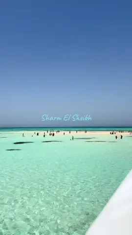 هالسفره ماتخطيتها 🔥.                             صيف . شرم الشيخ . الجزيرة البيضاء . سيناء☀️.  #الصيف #سفر #مصر #شرم_الشيخ #الشعب_الصيني_ماله_حل😂😂 #اكسبلور #تان 