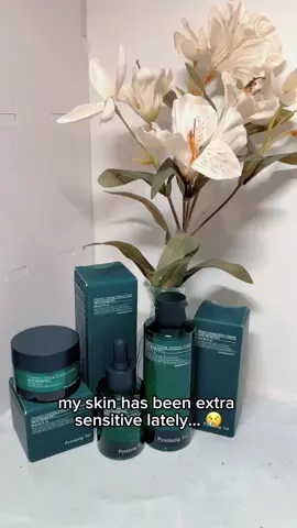 using the pyunkang yul ultimate calming line (toner, ampoule, cream) 💚 made for acne-prone, oily, and sensitive skin lightweight, calming formulas with patented ingredients like corn mint & peony tree 🍃 helps with oil, redness, and barrier care — my skin looks way calmer + smoother @Pyunkang Yul (편강율)  #PKY #PyunkangYul #acne #acneproneskin #acneskincare #dailyskincare #ultimateline #glassskin #clearskin #koreanskincare #kbeauty #skintok 