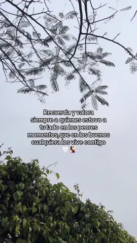 🧏🏻‍♀️#ypfッ #paratiiiiiiiiiiiiiiiiiiiiiiiiiiiiiii #apoyo #vida 