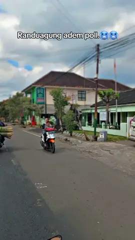 info tempat ngopi daerah randuagung? #CapCut #fyp #randuagung #lumajang #viral 