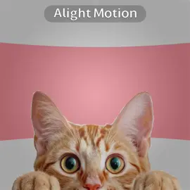❤️😀I love catsss#fypシ゚viral #foryoupageofficiall #alightmotion_edit #fypシ #fyppppppppppppppppppppppp #foryou #artist #xyzbcafypシ #cats #relatable #xyzbac #animation 