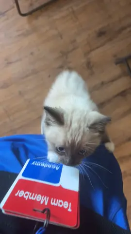 motley the climber fr 