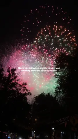 I love a good fireworks show and this did not disappoint #nj 