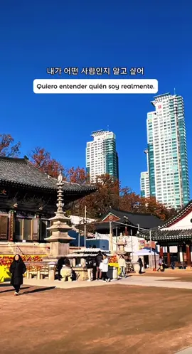 Tal vez no tengo todas las respuestas aún, pero estoy segura que no quiero seguir en piloto automático ✨ ❤️‍🩹 #koreanquotes #frasescoreanas #crecimientopersonal #reinventarse #selfdiscovery #soltar 