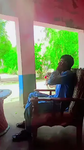 #tiktok#sheedo#dada#