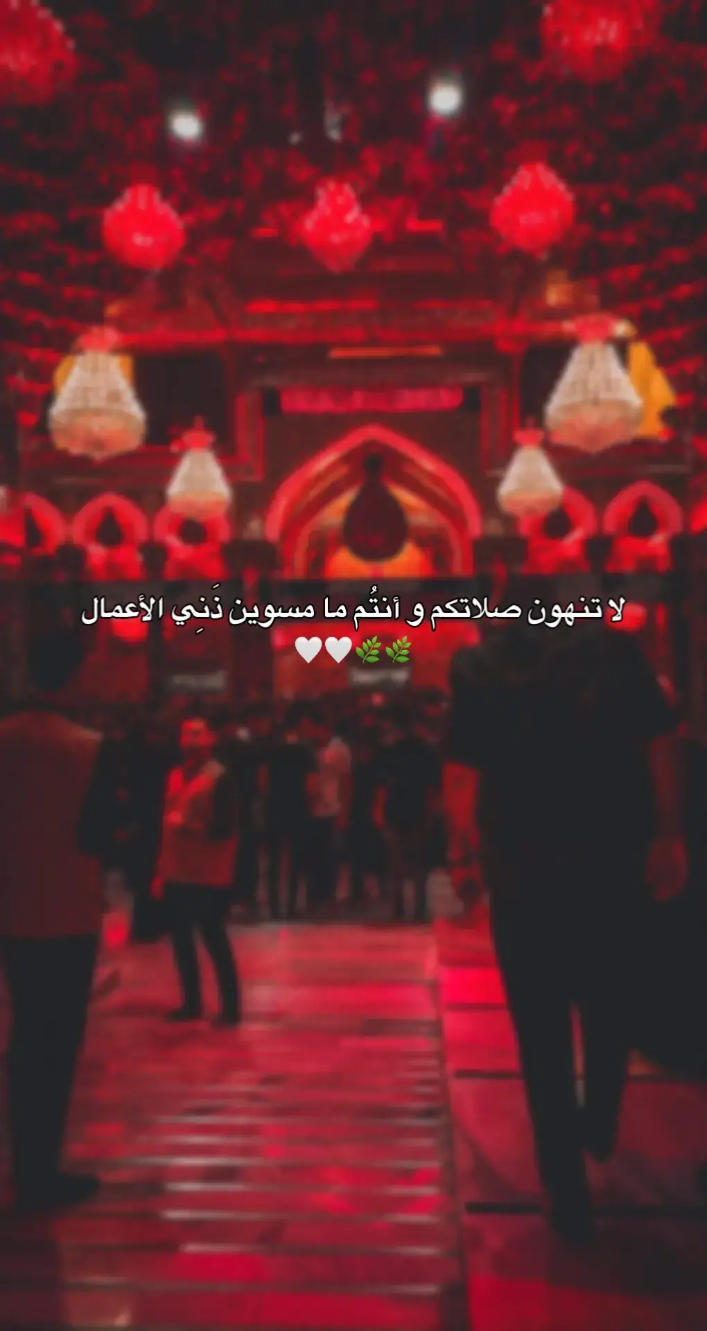🌿🤍🤍🤍 - #ياعلي #foryoupageofficiall #foryoupage #foryoupage #foryou #صلاه #صلاه #صلاه #عاشوراء #عاشوراء #عاشوراء #عاشوراء #صلاه #محرم_1443_ويبقى_الحسين #ياعلي_مولا_عَلَيہِ_السّلام #LearnOnTikTok #ياعلي_مولا_عَلَيہِ_السّلام 