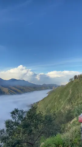 Bromo lagi cantik-cantiknya😍 #bromo #bromotenggersemeru #bromomountain #explorejatim #gunungindonesia 