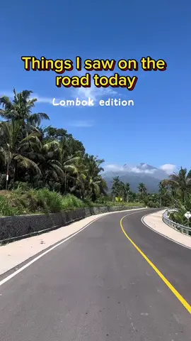 What I saw on the road today 
