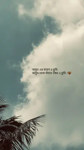 তুমি🤎