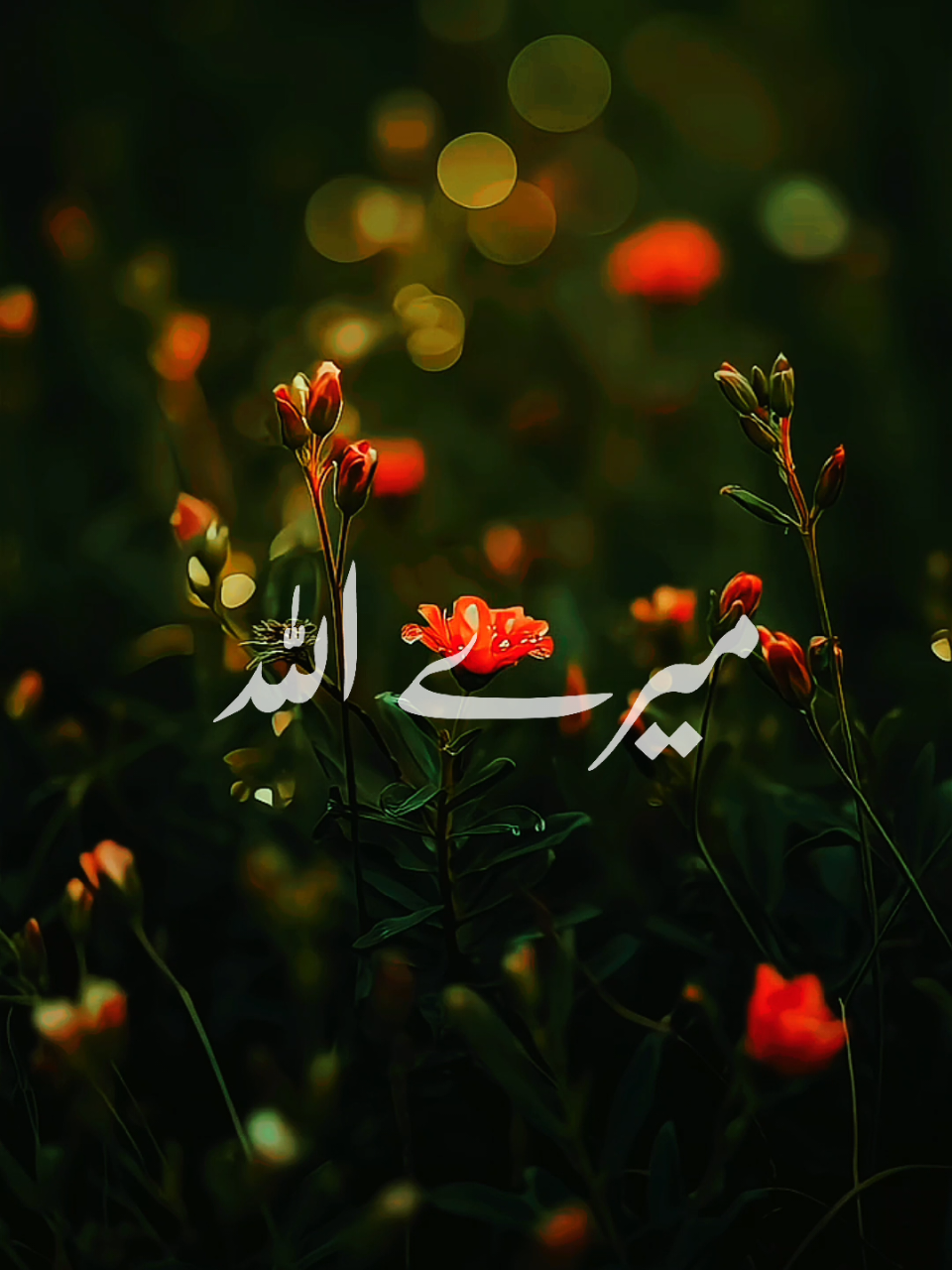 mere allah mujhe sirf tera sath chahiye..ll #allah #islamic_video #trending 