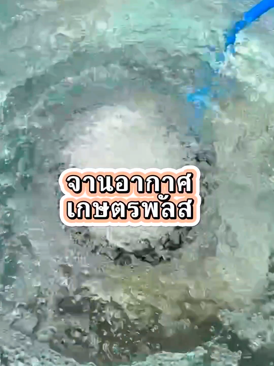 จานอากาศเกษตรพลัส ขนาด 10 นิ้ว ใช้งานผ่านปั้มลม ฟองละเอียด  เติมอากาศให้น้ำกันค่า #จานอากาศ #จานจ่ายอากาศเพิ่มออกซิเจน #จานจ่ายอากาศ #หัวออกซิเจน #พร้อมส่ง #ขายของออนไลน์ #เทรนวันนี้ 