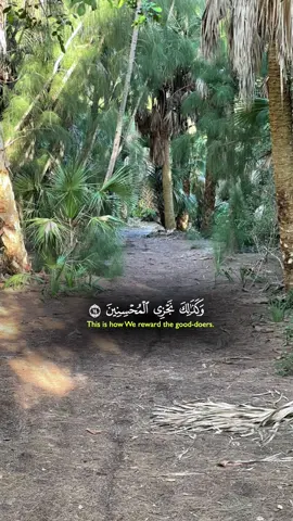 ‎‏ #quran #quran_alkarim #quranrecitation #Islam #egypt #morocco #islamic_video #allah #alhamdulillah #islamsobhy #tunisia #ksa #muslim #muslimtiktok #muslimah #muslims #indonesia #malaysia #turkey #amman #capcut #viral #viralvideo #viraltiktok #arab #arabic . . . ‎#عمان #مصر #سوريا_تركيا_العراق_السعودية_الكويت #قران #قران_كريم #سوريا🇸🇾  #لبنان #الخليج  ‎#القران_الكريم #القران_الكريم_راحه_نفسية😍🕋 #fy #fyp #fypシ #fypシ゚viral #رمضان #رمضان_يجمعنا #subhanallah #Ramadan #arab #السعودية #الكويت #تونس #المغرب #المغرب🇲🇦تونس🇹🇳الجزائر🇩🇿 #foryoupage #algerie #qatar #explore #اكسبلور #اللهم_صلي_على_نبينا_محمد 