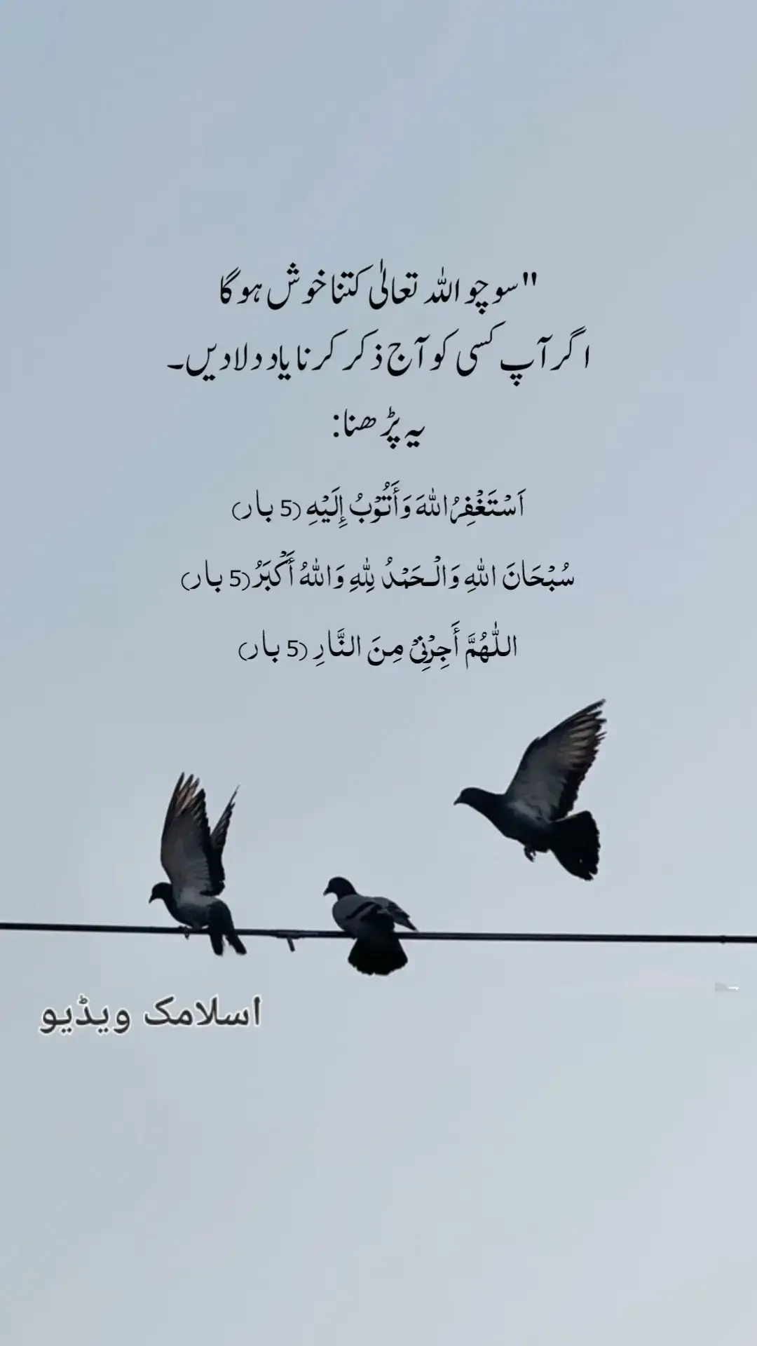 #bestislamiclines❤️ #foryoupage❤️❤️ #followandlikeshare❤️❤️ 