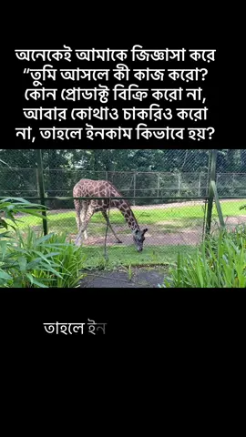 অনেকেই আমাকে জিজ্ঞাসা করে — “তুমি আসলে কী কাজ করো? কোন প্রোডাক্ট বিক্রি করো না, আবার কোথাও চাকরিও করো না, তাহলে ইনকাম কিভাবে হয়? #tranding  #viralvideos  #foryoupage❤️❤️  #workfromhome  #fyp  #videoviral  #bdtiktokofficial 