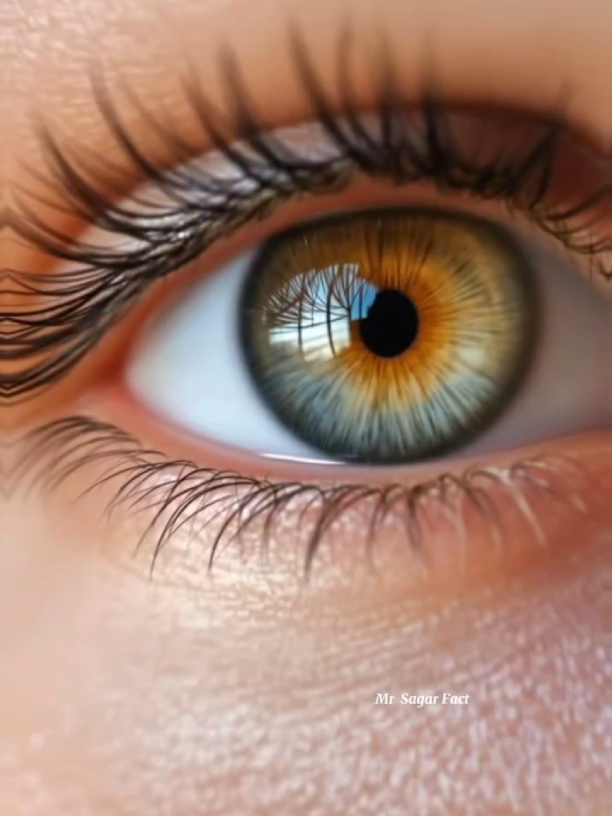 amazing facts for good health #explore #interesting #facts #healthy #food 