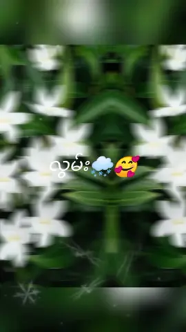 #ပန်းလေးတွေဆိုချစ်တယ် 🌺💖🌺💖🌺💖🎶🎧🎤ဂျူဝယ်လ်