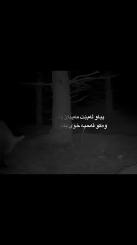 #تایبەت_مەحو #توبزاوا #ma7o🎶👀zardo #ma7o_zardo #foryou #fyp 