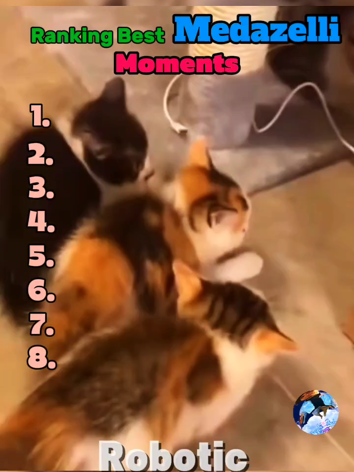 A vlog inside my dreams | Part 350 #Vlog #animalsoftiktok #animalsfunny #AnimalComedy #funnytiktok #funny #funnyvideos #funnypets #dog #cat #funnydogs #funnycat #funnycatvideo #virat #trending #foryou #usa #fyp