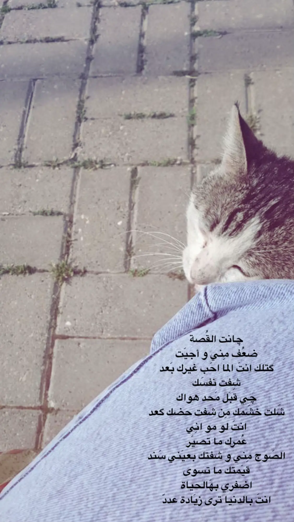 بيت شعر؟#شعر #عبارات #اكسبلور #fyp #explore #اكسبلورexplore #خذلان 