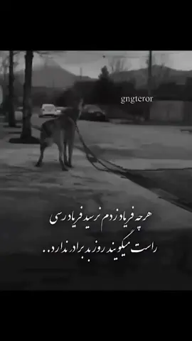 روز بد برادر نداره ‌ ‌ ‌ #افغانستان  #اوزبیک_تاجیک_پشتون_هزاره_ترکمن 