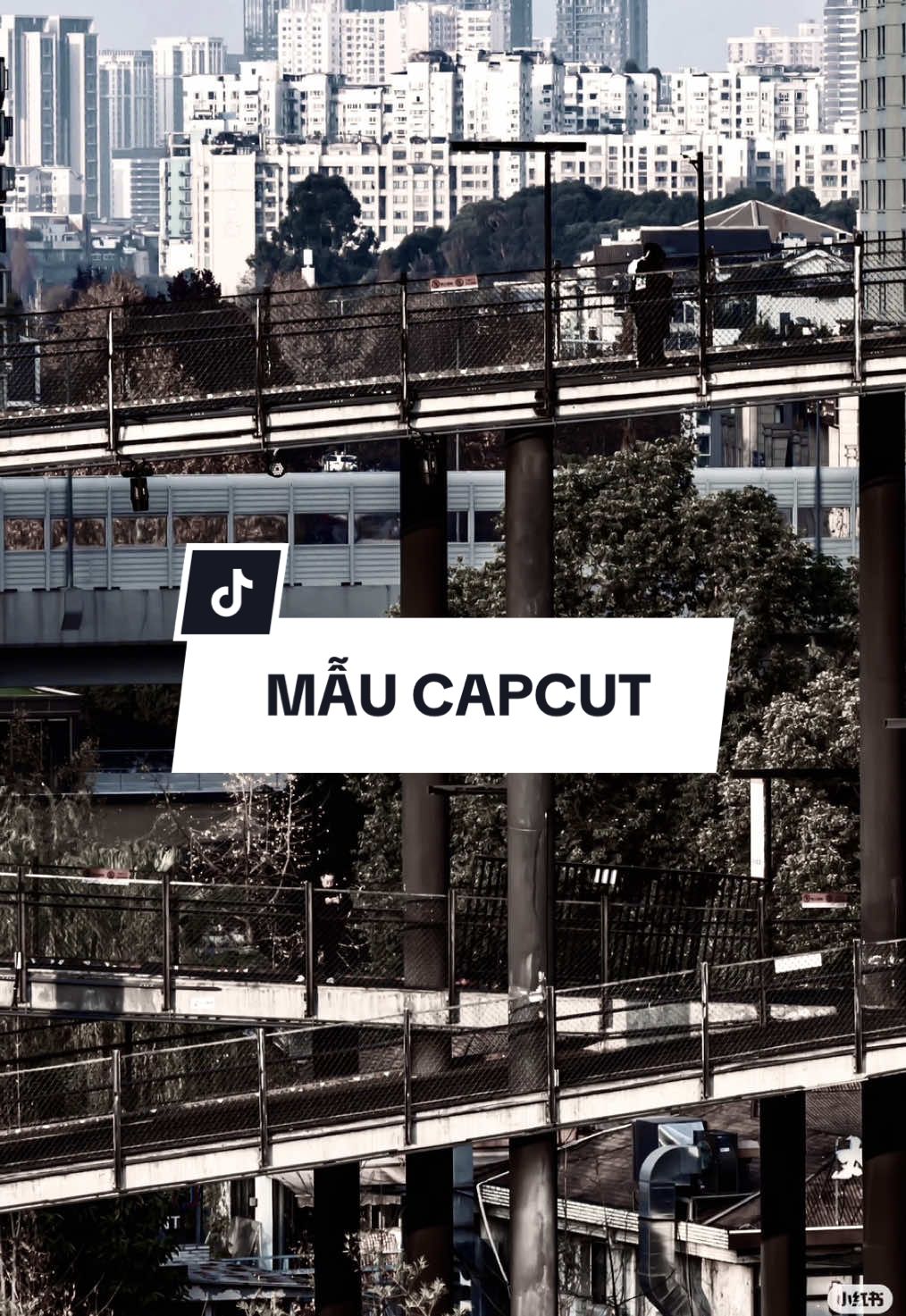 #CapCut Chị bị bênh sĩ diện….#nhachaymoingay #xuhuongtiktok #viral #maucapcut 
