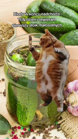 🥒 Sezon na ogórki oficjalnie otwarty! Kto też tak tańczy przy pierwszym słoiku małosolnych? 😻 Przepisy na ogórki małosolne i inne letnie pyszności znajdziesz na 👉 smaker.pl #ogórkimałosolne #sezonogórkowy #smakerpl #domoweklimaty #kochamgotować #foodfun #ogórki 