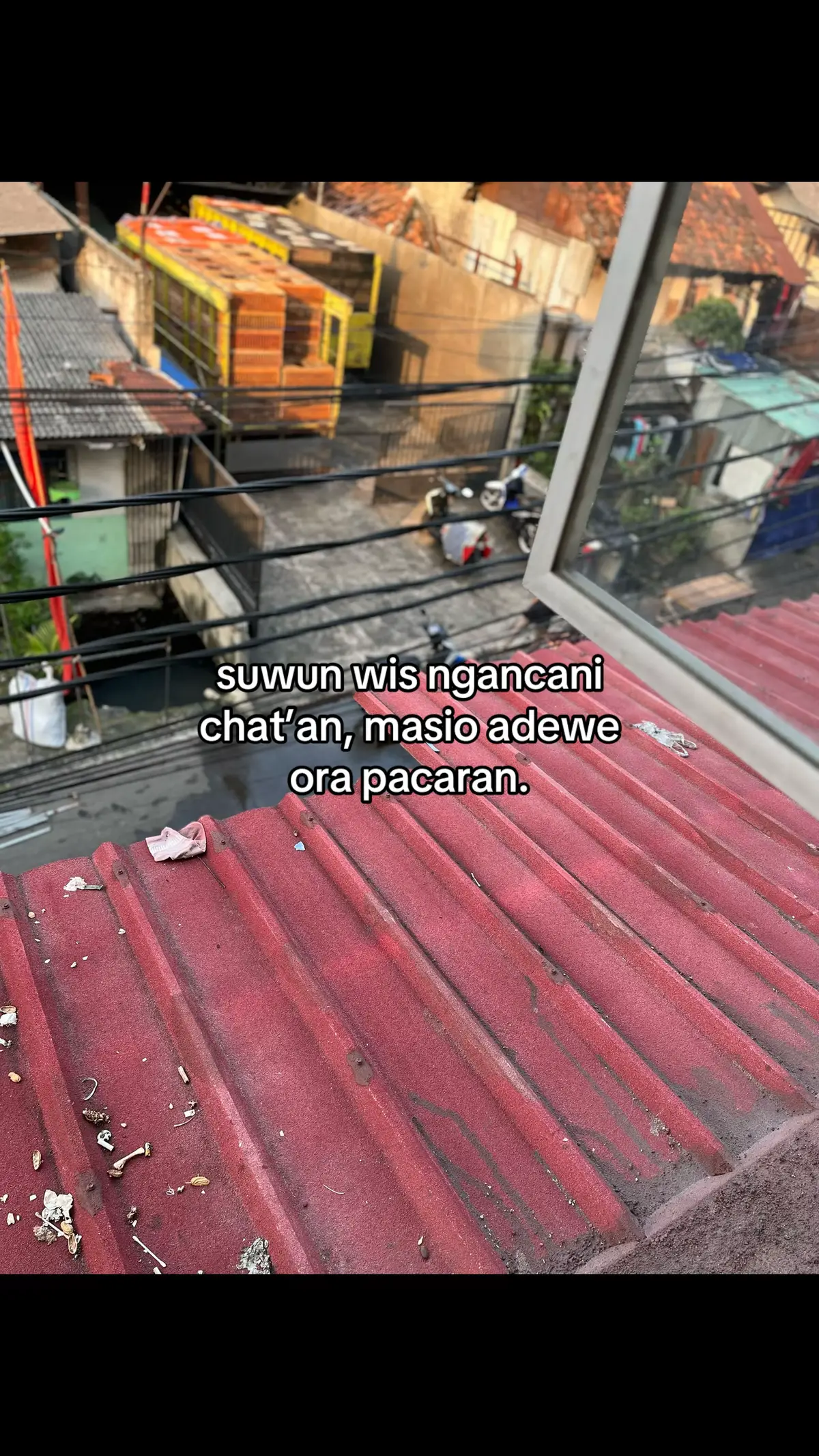 #jowokuciwoo 